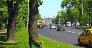 Посадка деревьев и кустарников в Йошкаре-Ола — стоимость от 1227 руб.